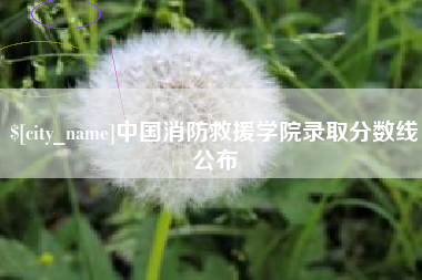 青岛中国消防救援学院录取分数线公布