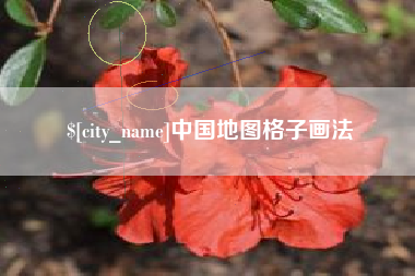 青岛中国地图格子画法
