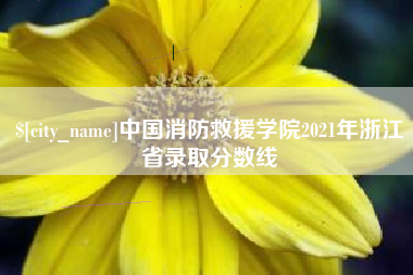 青岛中国消防救援学院2021年浙江省录取分数线