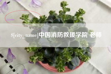 青岛中国消防救援学院 老师