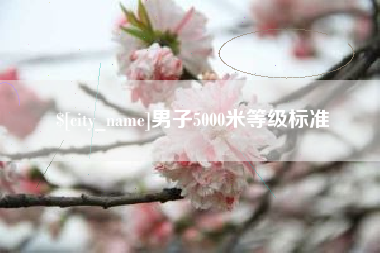 青岛男子5000米等级标准