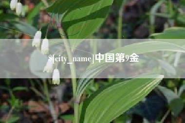 青岛中国第9金