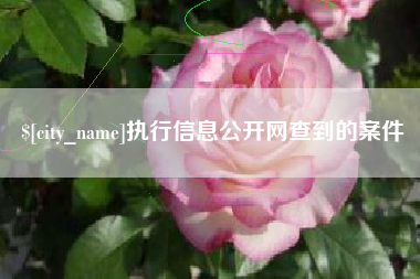 青岛执行信息公开网查到的案件