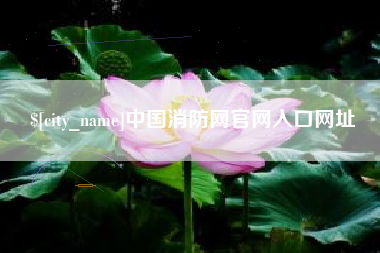 青岛中国消防网官网入口网址