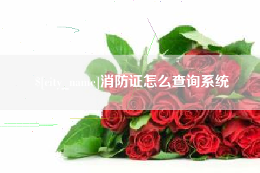 青岛消防证怎么查询系统