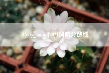 青岛2021消防分数线