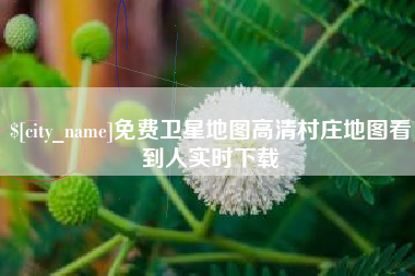 青岛免费卫星地图高清村庄地图看到人实时下载