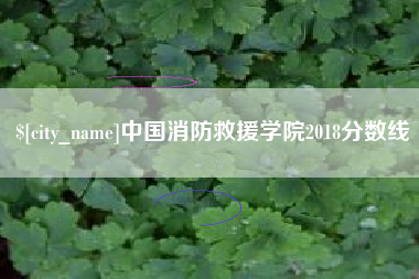 青岛中国消防救援学院2018分数线