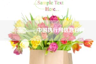 青岛中国执行网信息官网
