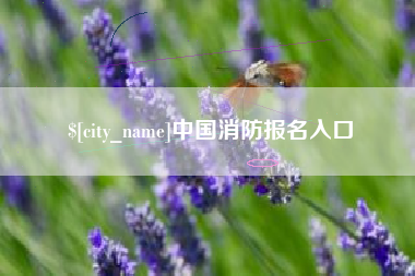 青岛中国消防报名入口
