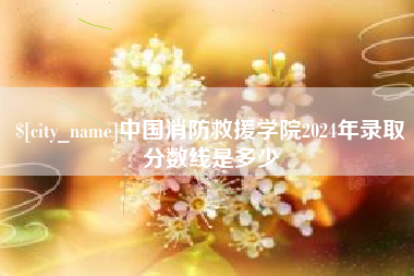 青岛中国消防救援学院2024年录取分数线是多少