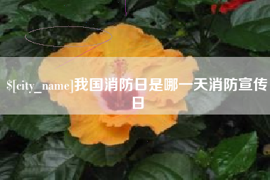青岛我国消防日是哪一天消防宣传日