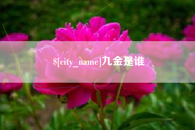 青岛九金是谁