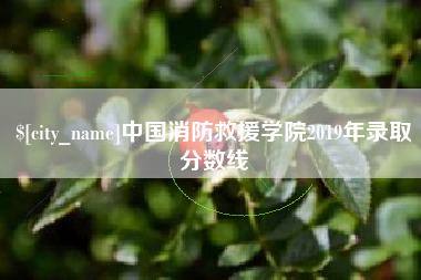 青岛中国消防救援学院2019年录取分数线