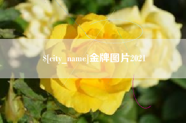 青岛金牌图片2021