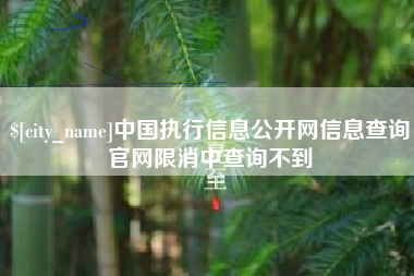 青岛中国执行信息公开网信息查询官网限消中查询不到