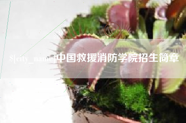 青岛中国救援消防学院招生简章