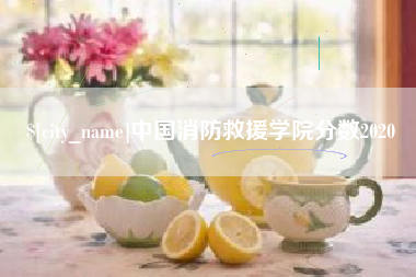 青岛中国消防救援学院分数2020