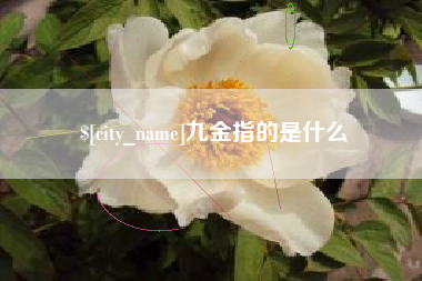 青岛九金指的是什么