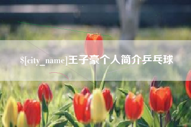 青岛王子豪个人简介乒乓球