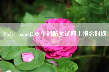 青岛2020年消防考试网上报名时间