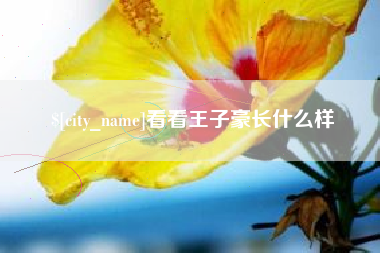 青岛看看王子豪长什么样