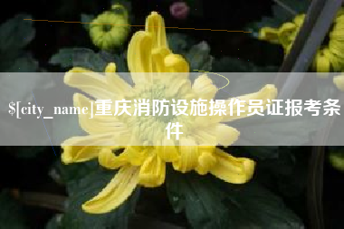 青岛重庆消防设施操作员证报考条件