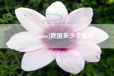 青岛我国多少个金牌