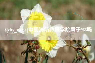 青岛中国消防救援学院属于985吗