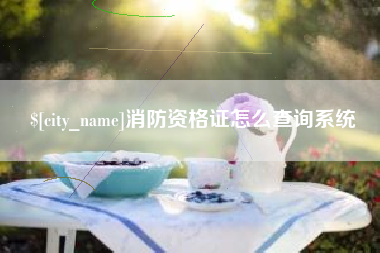 青岛消防资格证怎么查询系统