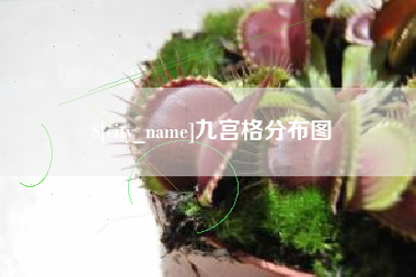 青岛九宫格分布图