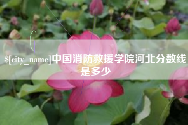青岛中国消防救援学院河北分数线是多少