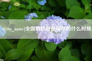 青岛全国消防日是每年的什么时候