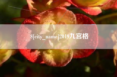 青岛2019九宫格