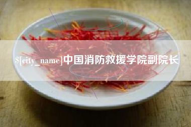 青岛中国消防救援学院副院长