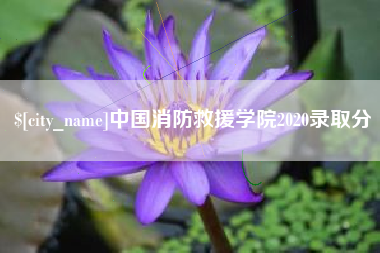 青岛中国消防救援学院2020录取分