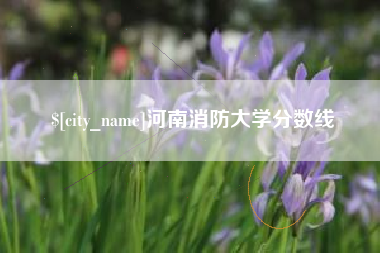 青岛河南消防大学分数线