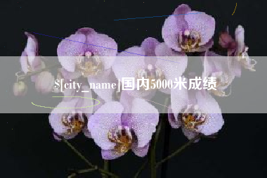 青岛国内5000米成绩