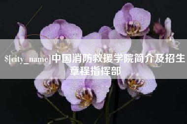 青岛中国消防救援学院简介及招生章程指挥部