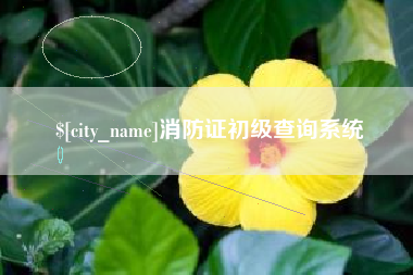 青岛消防证初级查询系统