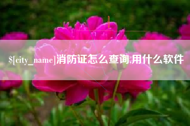 青岛消防证怎么查询,用什么软件