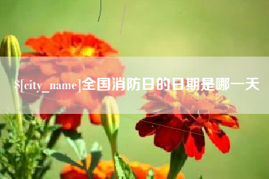 青岛全国消防日的日期是哪一天