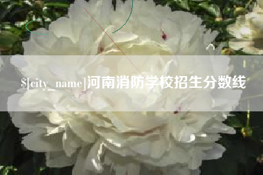青岛河南消防学校招生分数线