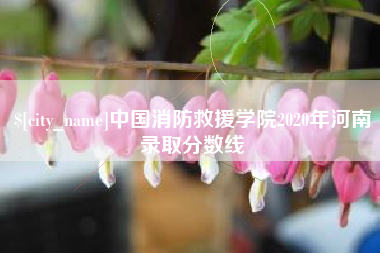 青岛中国消防救援学院2020年河南录取分数线