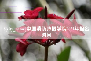 青岛中国消防救援学院2021年报名时间