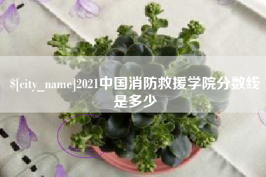 青岛2021中国消防救援学院分数线是多少
