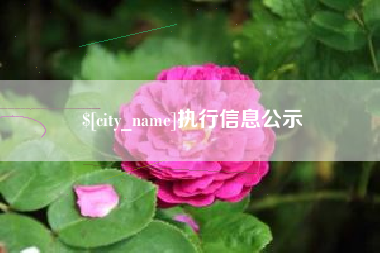 青岛执行信息公示