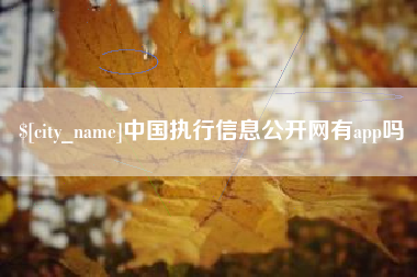 青岛中国执行信息公开网有app吗