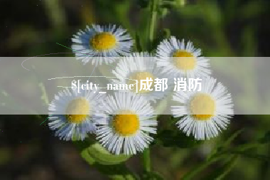 青岛成都 消防
