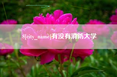 青岛有没有消防大学
